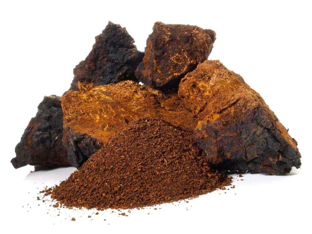 Chaga Pilz Pulver | Vitalpilz Sparvorrat - Image 4